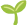 leaf icon